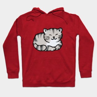 cute tiger cat Hoodie